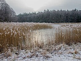 Strovsk rybnk. Ralsk pahorkatina