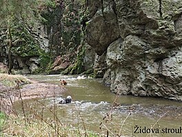 Dovolen Vlkov, bezen 2017