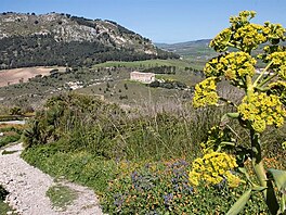 Segesta. Siclie