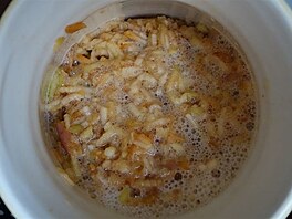 Nastrouhan jablka ve vod kvas (bude jablen ocet)