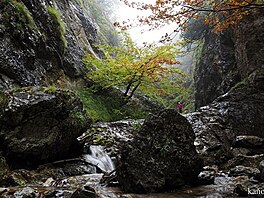 Dovolen na Slovensku, z 2017