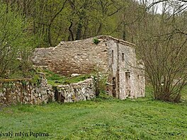 Bval mln Paprna. Nrodn park Podyj, duben 2018