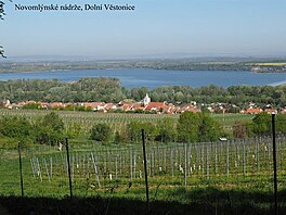 Novomlnsk ndre, Doln Vstonice. Duben 2018