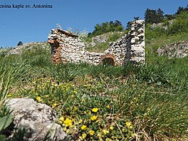 Zcenina kaple sv. Antonna, Plava. Duben 2018