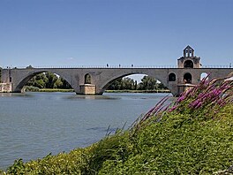 Avignonsk plmost