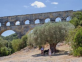 Pont du Gard