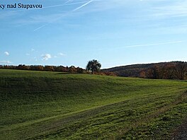 Louky nad Stupavou, jen 2018