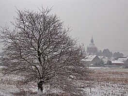 Doubek z cyklostezky Beclav-Charvtsk Nov Ves, 10. nora 2021