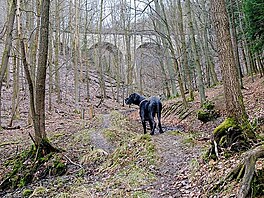 Karlovsk buiny 13. bezna 2021. Karlovsk viadukt nad nmi