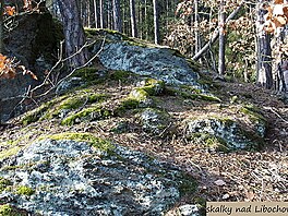 Skalky nad Libochovkou