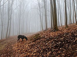 Kolem Ravky, konen na (skoro) rovn cest