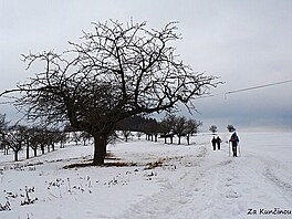 Za Kuninou v, 2. 2. 2019