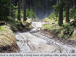 Pehnal se okraj bouky a hork slunce u vytahuje vlhu