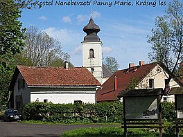 Kostel Nanebevzet Panny Marie, Krsn les