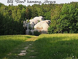 Bl Slon kameny, Jtrava