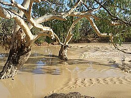 Cesta do oblasti Innamincka, Austrlie