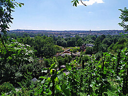 Pohled na doln st Zoo Praha, 30. 7. 2021