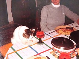 Kot s nmi stoluje, r. 1983. Vno je pouze dekorace :-)