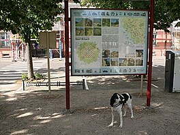 Neuf Brisach, Alsasko. V poped Candy