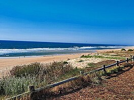 ekme nad dog friendly beach, kam nesm psi. Atlantik, Bordeaux.