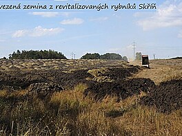 Navezená zemina z revitalizovaných rybníků Skříň, Lázně Bohdaneč, srpen 2022