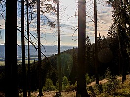 Jizerky - lesy nad Karlovem, srpen 2022