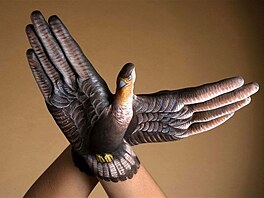 handpainting - holub