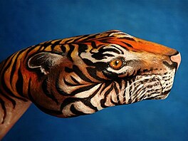 handpainting - tygr