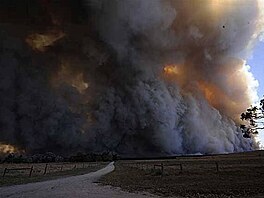 Kingake Bushfires. Victoria 3