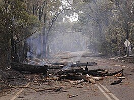Kingake Bushfires. Victoria 9
