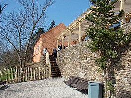 Zoo Praha - kavrnika ernohouska 2
