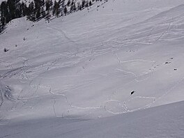 heliskiing 7