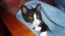 Bytomská sle�na Scarlett 1