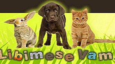 portál líbíme se vám