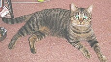 Bartáková - Mourásek 1