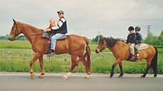 Adamusová - Punc s pani�kou a Zorka s d�tmi