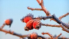 Zimní procházka, prosinec 2014