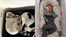 Ch�vy a jejich sv��enec, le�ící, spící