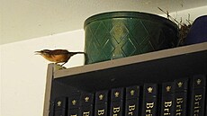 Jeden st�ízlík odlet�l a hned p�ilet�l druhý