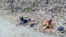 Talinka a Rum�tajn