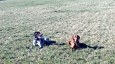 Talinka a Rum�tajn