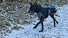 Jeden b�ící aktuální Night, aneb pohyb je zdravý a spalují se kalorie z...