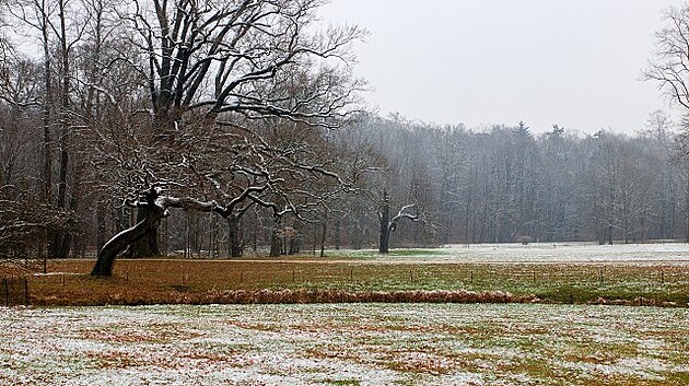 Bad Muskau, prosinec 2018