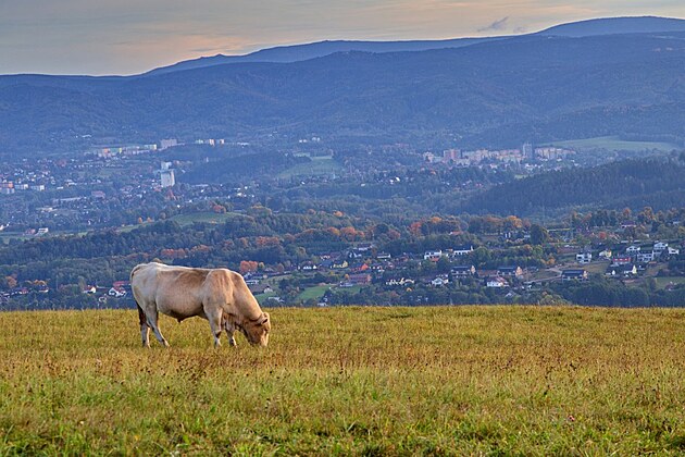 Výhled na Liberec s hovzím