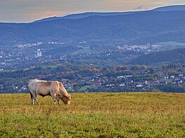 Vhled na Liberec s hovzm