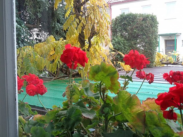 Dne 14. 11. 2022, kr�sn� slune�no.