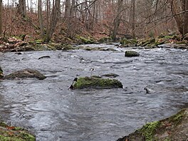 Hammersk potok
