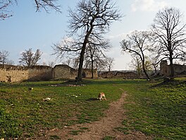 Zřícenina hradu Pravda. Výlet Džbánsko, duben 2019