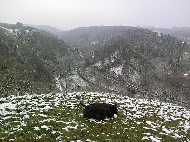 Pohled dol, Prokopské údolí, listopad 2022