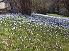 Botanická zahrada, 17. 3. 2023